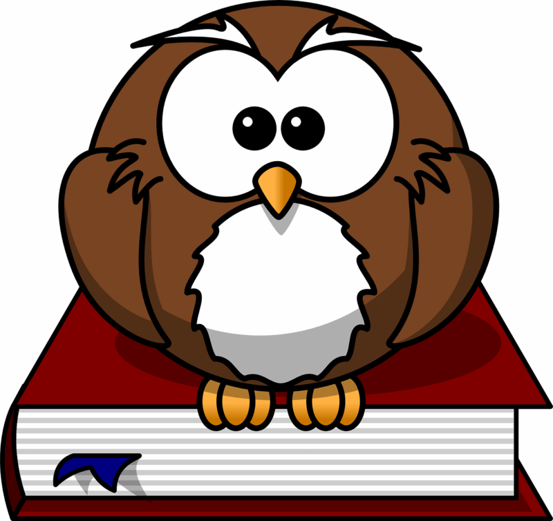Qual o objetivo da avaliação processual? Qual livro trata desse assunto?